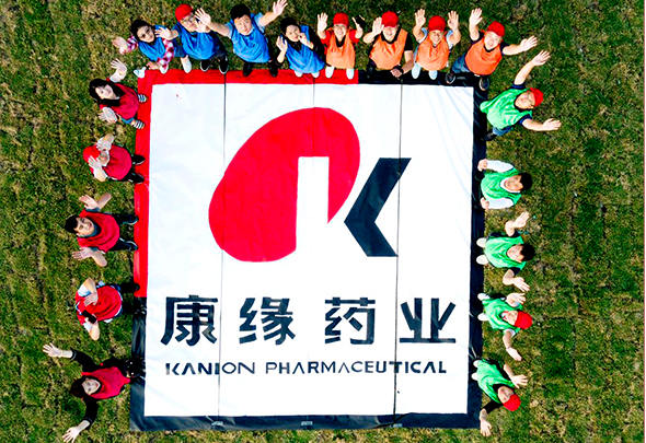 九五至尊电子游戏药业